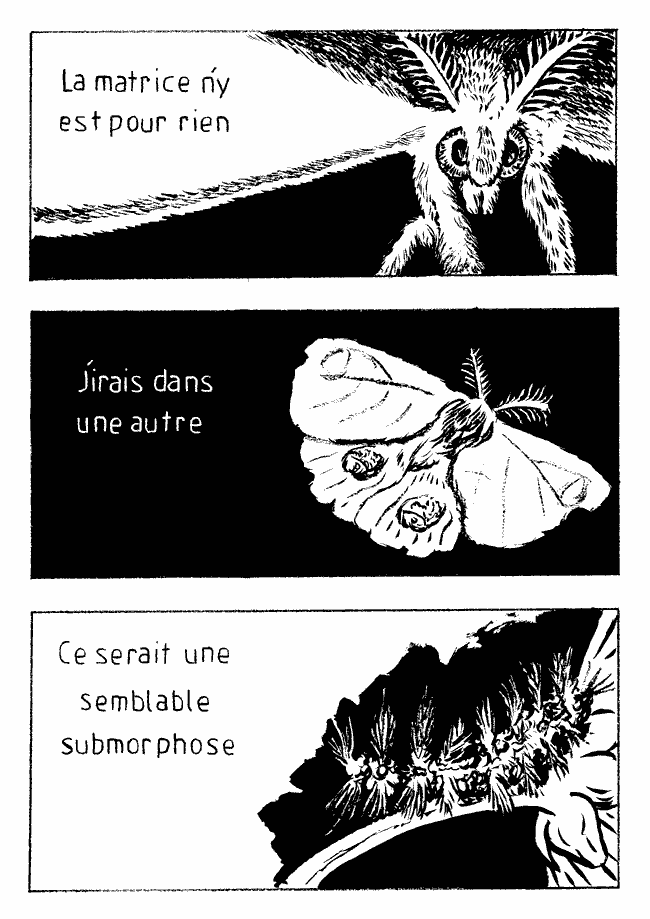 Submorphose