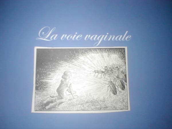La photo de minuit